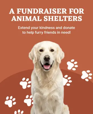 Animal Shelter Fundraiser Charity Poster Template