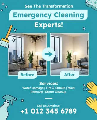 Before and After Emergency Cleaning Services Transformation Flyer Template