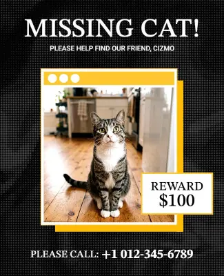 Black Missing Cat Poster Template