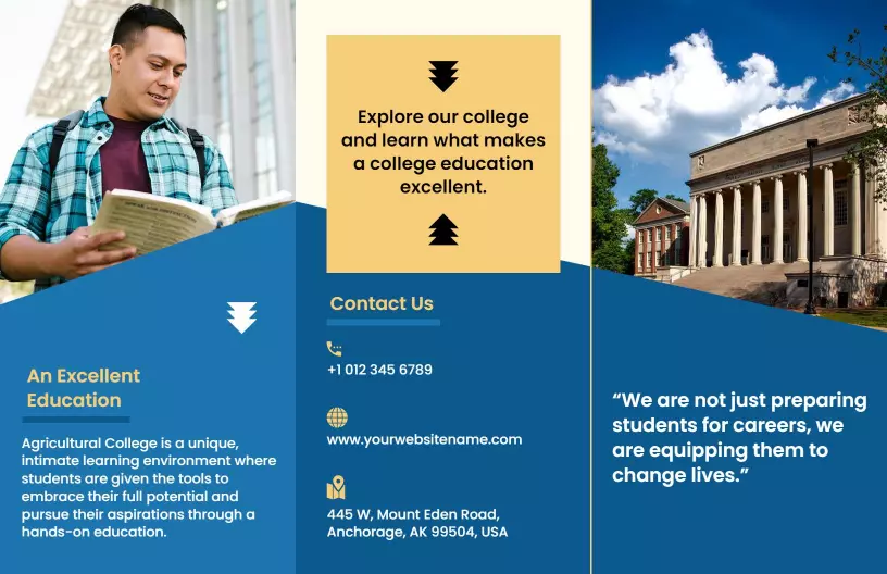 Blue and Yellow College Programs Education Brochure Template