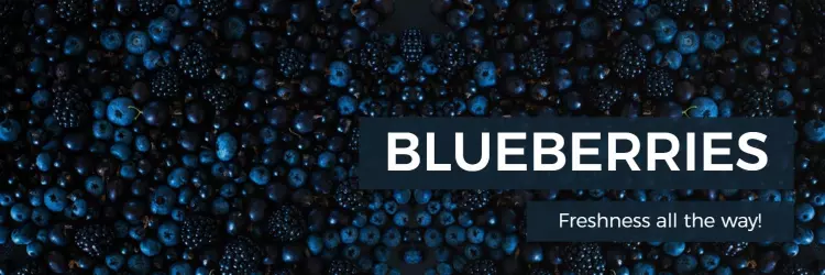 Blueberry-themed Freshness Display on Dark Background Twitter Banner Template