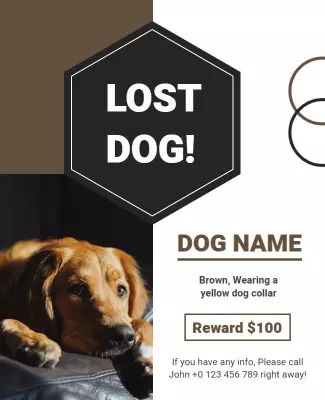 Bold Brown Lost Dog Notice with Reward Poster Template