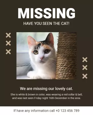 Bold Brown Missing Cat Alert Poster Template