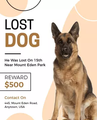 Bold Orange Lost Dog Announcement Poster Template