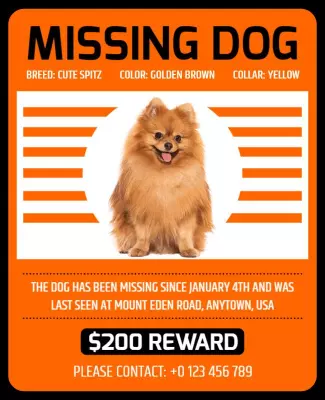 Bold Orange Missing Dog Announcement Poster Template