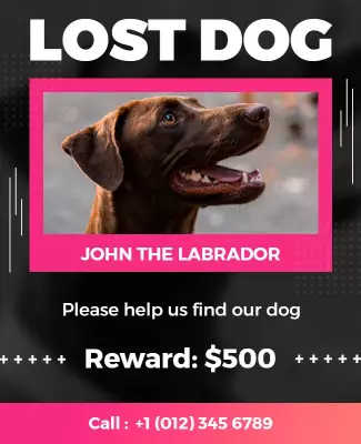 Bold Pink and Black Lost Dog Announcement Flyer Template