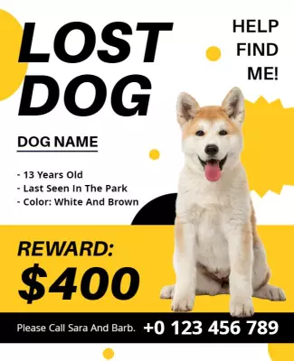 Bold Yellow Lost Dog Announcement Poster Template