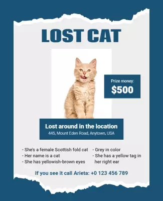 Bright Blue Lost Cat Announcement Poster Template