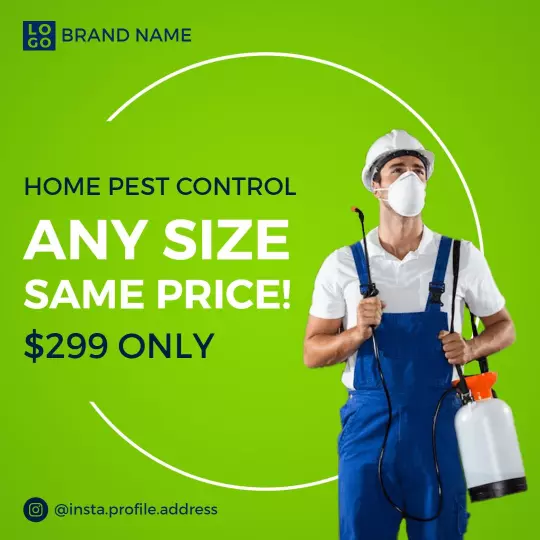 Bright Green Home Pest Control Service Affordable Package Ad Template