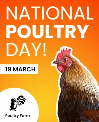 Bright Orange National Poultry Day Celebration Poster Template