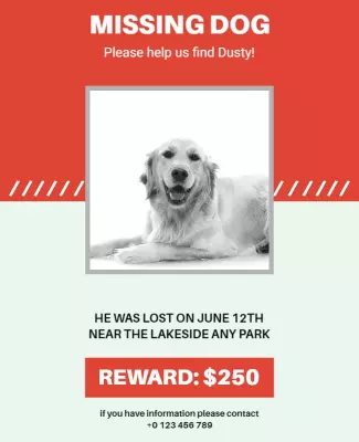 Bright Red Missing Dog Notice with Reward Details Poster Template