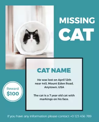 Bright Teal Missing Cat Alert with Reward Poster Template