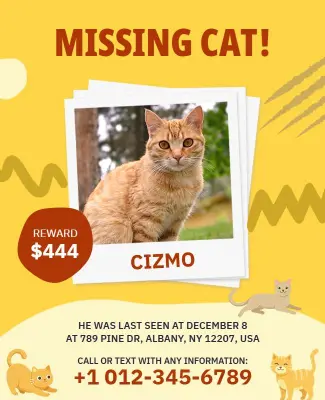 Bright Yellow Alert for Missing Cat Cizmo Poster Template