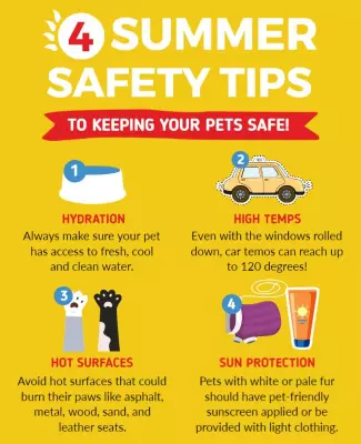 Bright Yellow Informative Summer Pet Safety Tips Poster Template