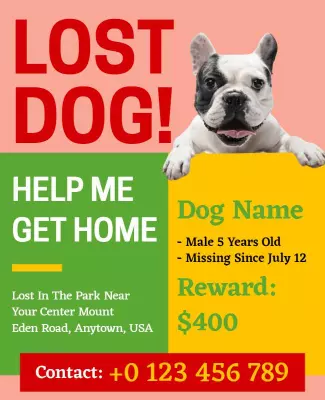 Bright Yellow Lost Dog Announcement Poster Template