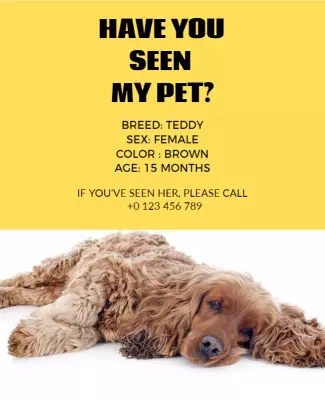 Bright Yellow Lost Pet Notice for Dog Poster Template