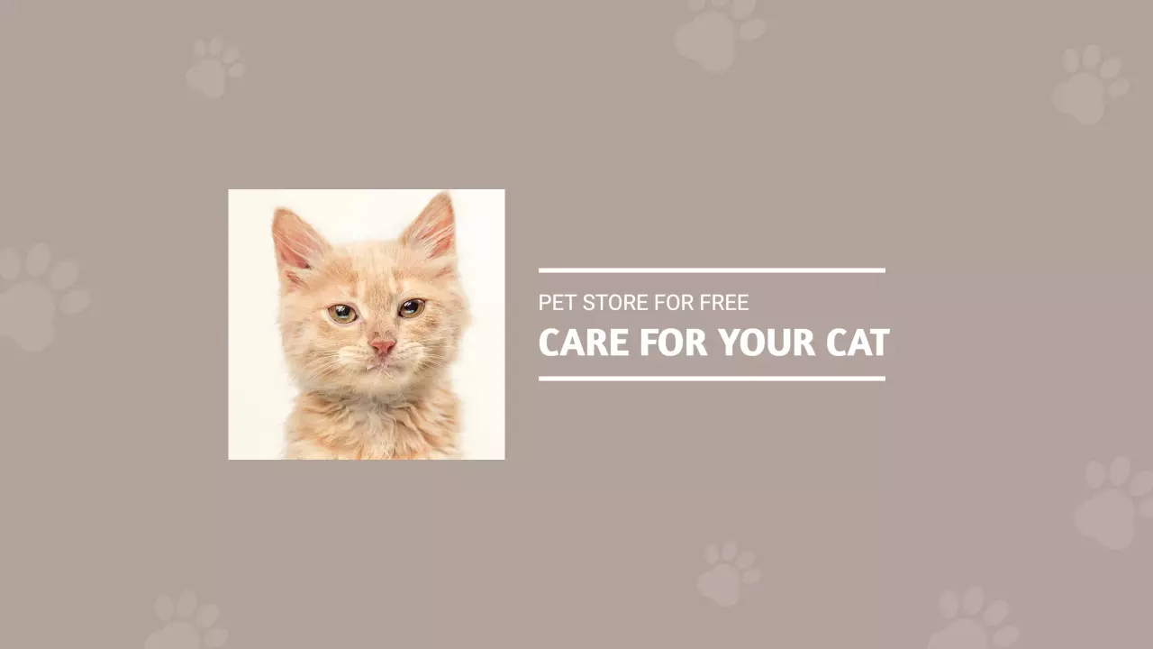 Caring for Your Cat with Soft Beige Background YouTube Banner Template