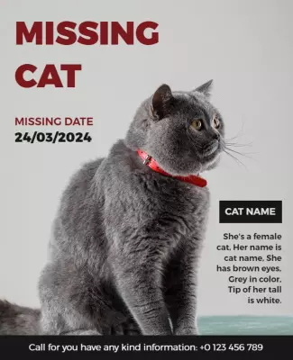 Caring Grey Cat Missing Notification Poster Template