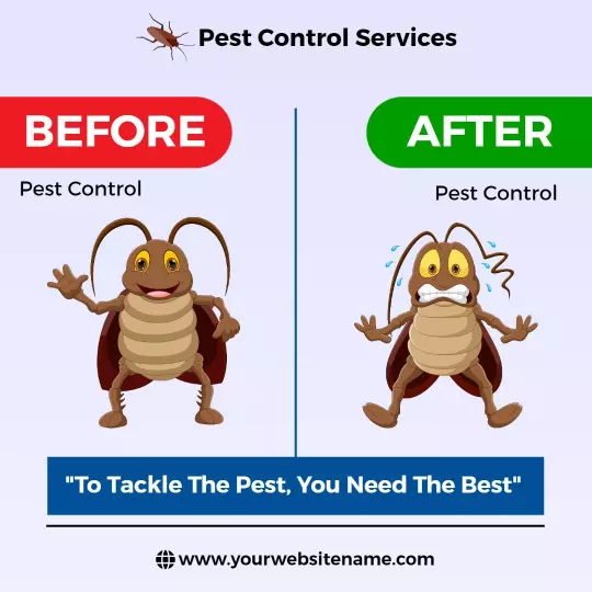 Cartoon Pest Control Transformation with Humor for Services Ad Template