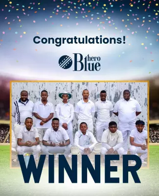 Celebratory Cricket Team Winner Announcement Poster Template