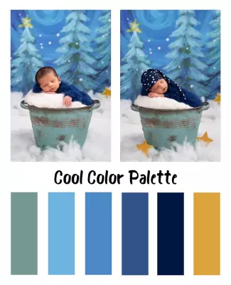Charming Winter Baby Photography Cool Color Palette Poster Template