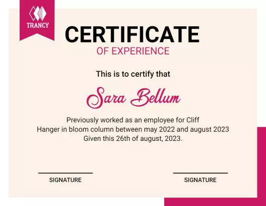Chic Pink Minimalist Work Experience Certificate Template
