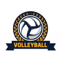 Classic Navy and Gold Volleyball Design Featuring a Ball Logo Template