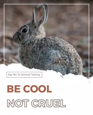Compassionate Rabbit Advocacy Against Animal Testing Poster Template