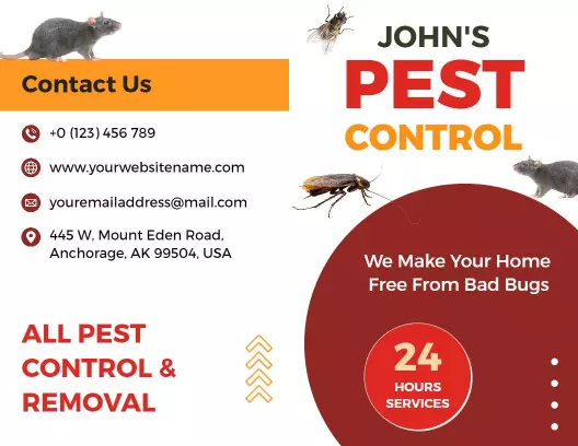 Comprehensive Pest Control Services and Safety Solutions Brochure Template