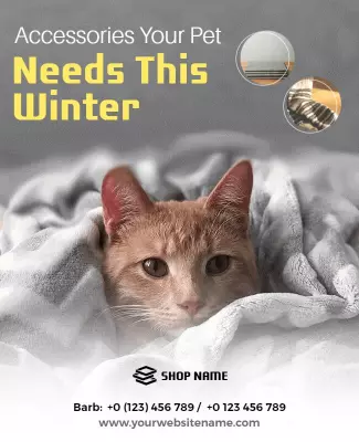 Cozy Cat Winter Pet Accessories Promotion Poster Template