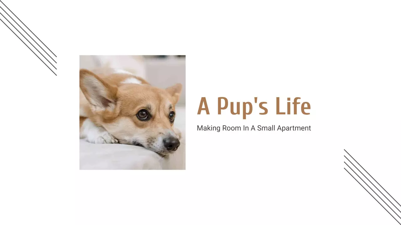Cozy Corgi Relaxing at Home in Apartment YouTube Banner Template