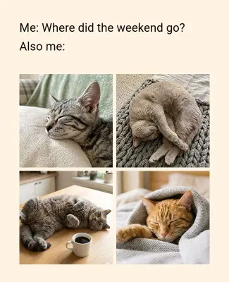 Cozy Sleeping Cats Humor Meme Poster Template