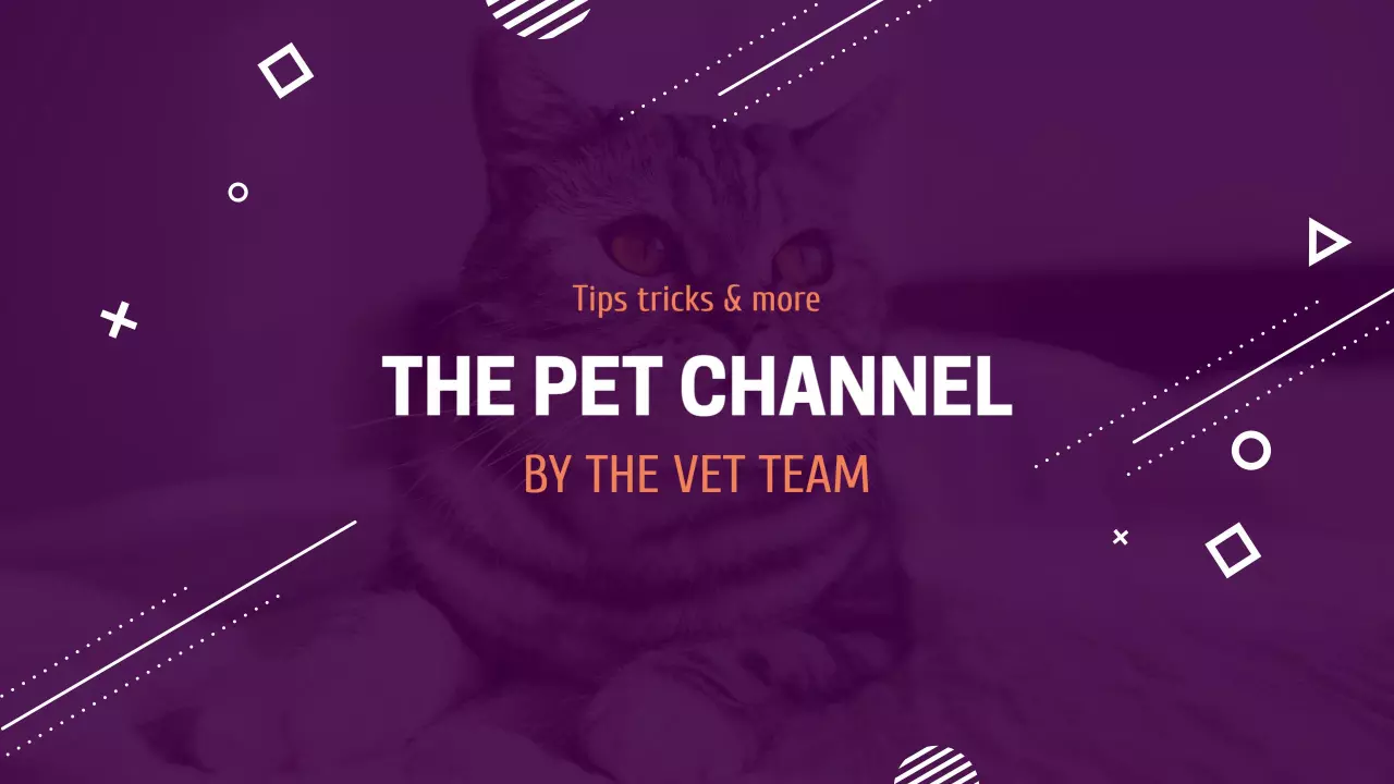 Creative Cat Tips and Tricks in Purple YouTube Banner Template