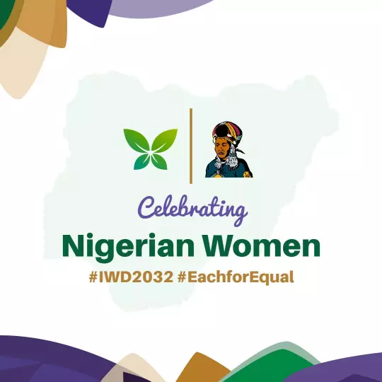 Cultural Celebration of Nigerian Women Empowerment Poster Template