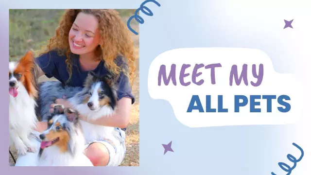 Cute Pets Family Introduction Trending YouTube Thumbnail Template