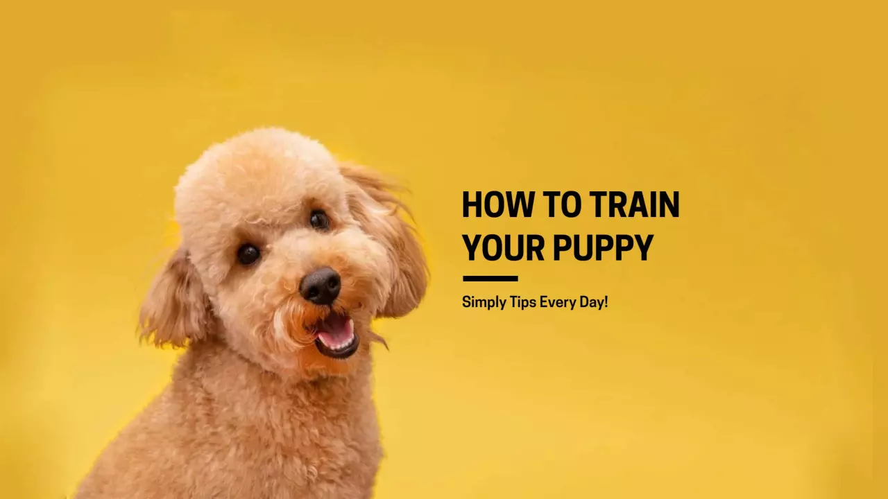 Cute Puppy on Bright Yellow Background YouTube Banner Template