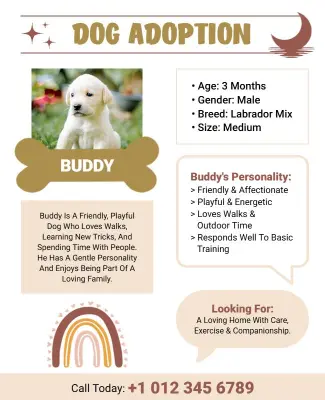 Dog Adoption Information Flyer Template