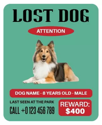 Vibrant Lost Dog Alert with Reward Flyer Template