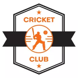 Dynamic Orange and Black Cricket Team Logo Design Concept Template