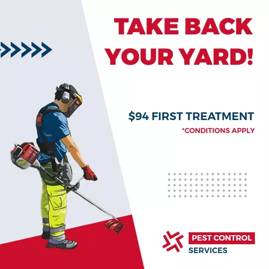 Dynamic Pest Control Service First Treatment Offer Ad Template