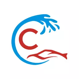 Dynamic Wave and Letter C Design for Alphabet Logo Template