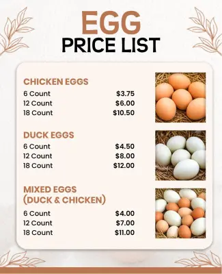 Egg Price List with Chicken and Duck Varieties Poster Template