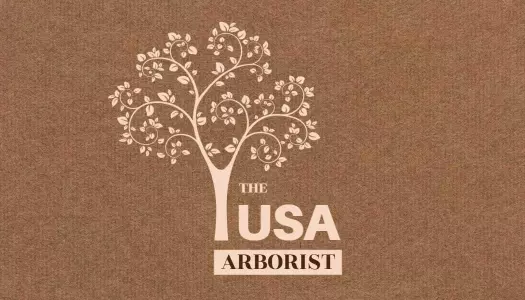 Elegant Beige Tree Logo for Arborist Business Card Template