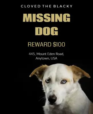 Elegant Black Missing Dog Notice with Reward Poster Template