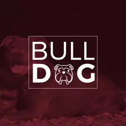Elegant Bold Bulldog Design for Pet Lovers Logo Template