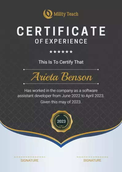 Elegant Gray Professional Work Experience Certificate Template