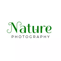 Elegant Green Nature Photography Wordmark Logo Template