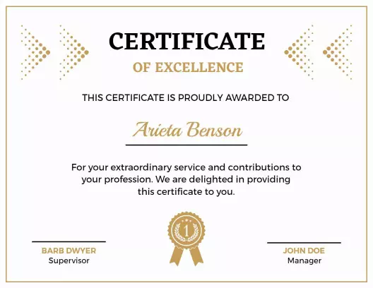 Elegant Simple Gold Excellence Award Certificate Template