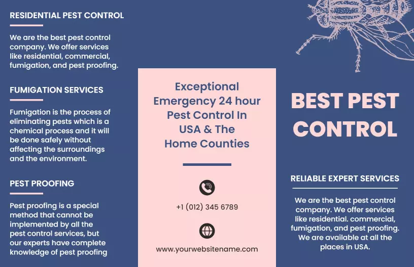 Emergency 24-Hour Pest Control and Fumigation Services Brochure Template