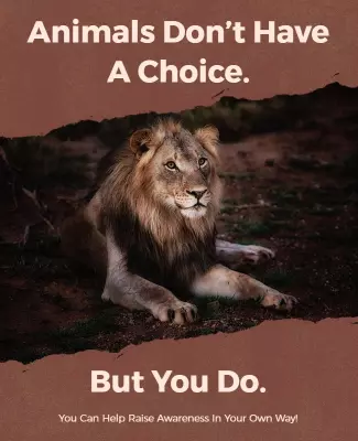 Empowering Wildlife Awareness Campaign Poster Template